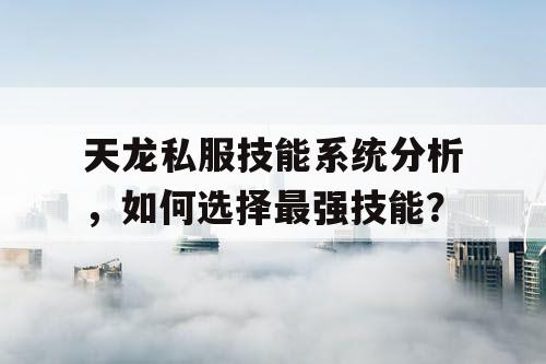 天龙私服技能系统分析,如何选择最强技能? 天龙私服技能系统分析,如何选择最强技能?