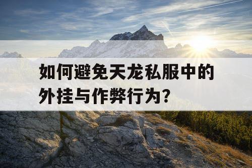 如何避免天龙私服中的外挂与作弊行为？
