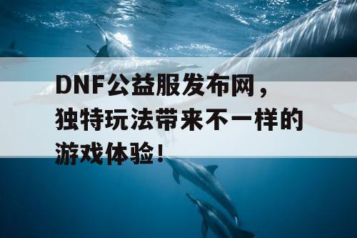 DNF公益服发布网，独特玩法带来不一样的游戏体验！