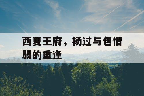 西夏王府，杨过与包惜弱的重逢