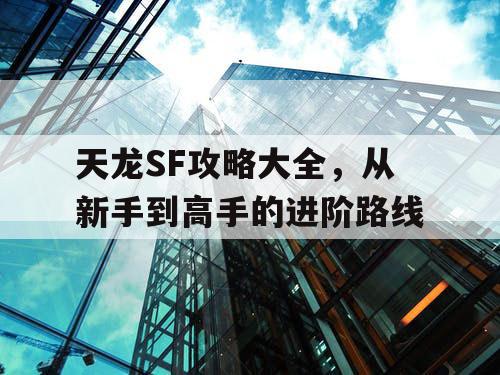 天龙SF攻略大全，从新手到高手的进阶路线