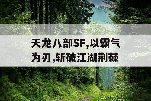 天龙八部SF,以霸气为刃,斩破江湖荆棘