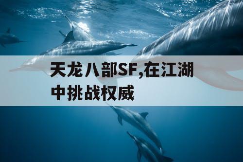 天龙八部SF,在江湖中挑战权威