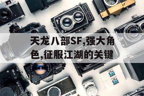 天龙八部SF,强大角色,征服江湖的关键