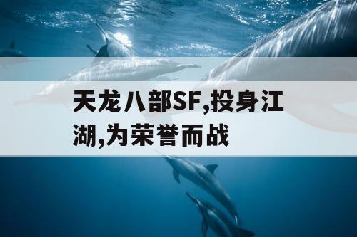 天龙八部SF,投身江湖,为荣誉而战