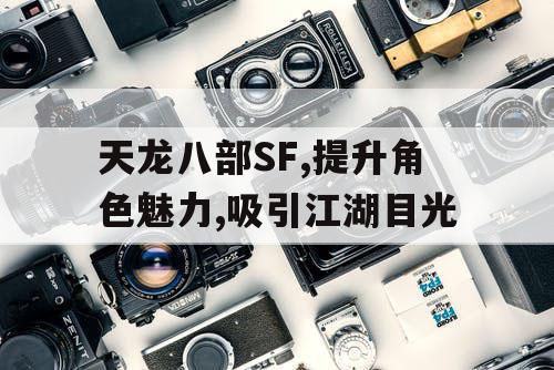 天龙八部SF,提升角色魅力,吸引江湖目光