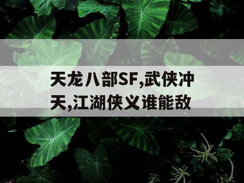 天龙八部SF,武侠冲天,江湖侠义谁能敌