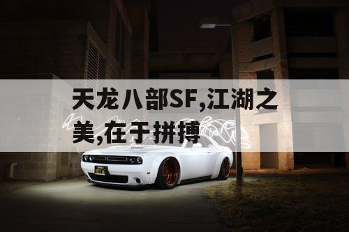 天龙八部SF,江湖之美,在于拼搏