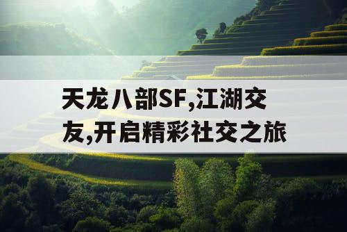 天龙八部SF,江湖交友,开启精彩社交之旅 天龙八部SF,江湖交友,开启精彩社交之旅