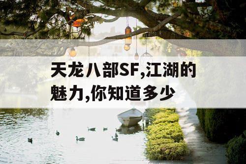 天龙八部SF,江湖的魅力,你知道多少