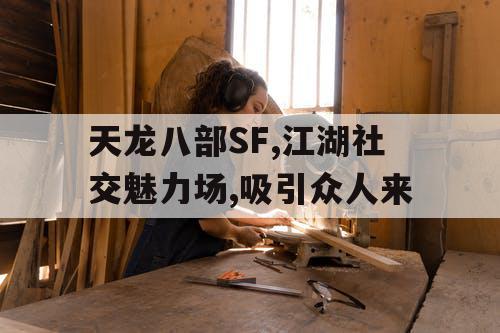 天龙八部SF,江湖社交魅力场,吸引众人来