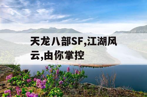 天龙八部SF,江湖风云,由你掌控