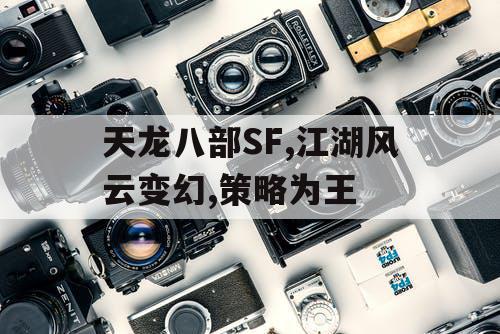 天龙八部SF,江湖风云变幻,策略为王