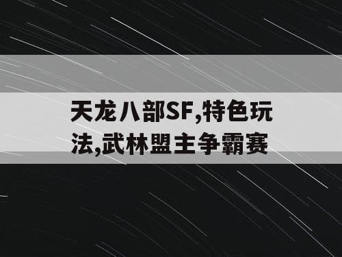 天龙八部SF,特色玩法,武林盟主争霸赛