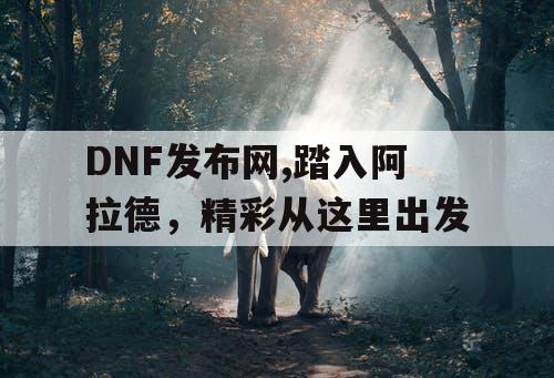 DNF60发布网 - 持续创新·引领潮流·打造公益服新标杆