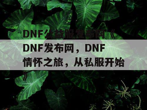 DNF公益服发布网《DNF发布网，DNF情怀之旅，从私服开始》