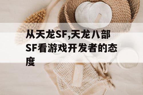 从天龙SF,天龙八部SF看游戏开发者的态度