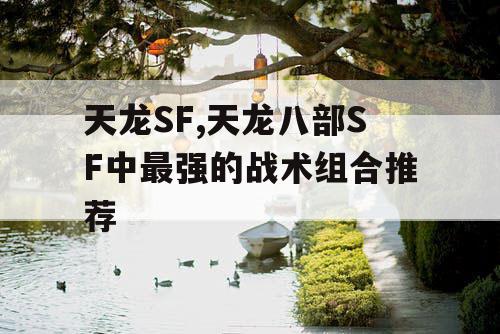 天龙SF,天龙八部SF中最强的战术组合推荐