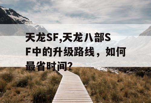 天龙SF,天龙八部SF中的升级路线，如何最省时间？