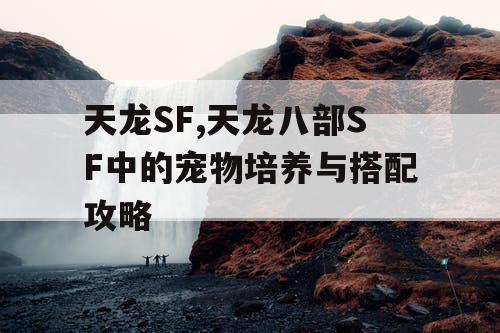 天龙SF,天龙八部SF中的宠物培养与搭配攻略