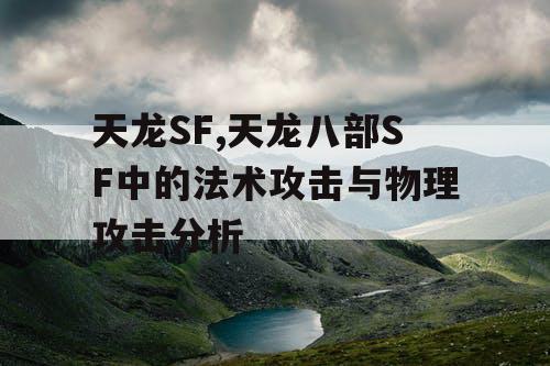 天龙SF,天龙八部SF中的法术攻击与物理攻击分析