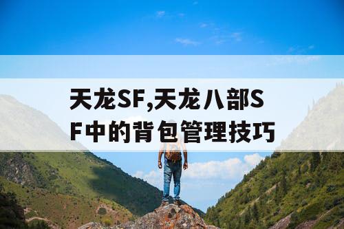 天龙SF,天龙八部SF中的背包管理技巧