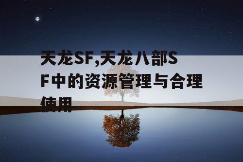 天龙SF,天龙八部SF中的资源管理与合理使用