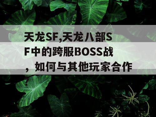 天龙SF,天龙八部SF中的跨服BOSS战，如何与其他玩家合作？