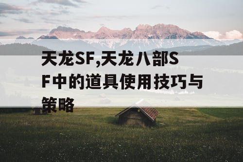天龙SF,天龙八部SF中的道具使用技巧与策略