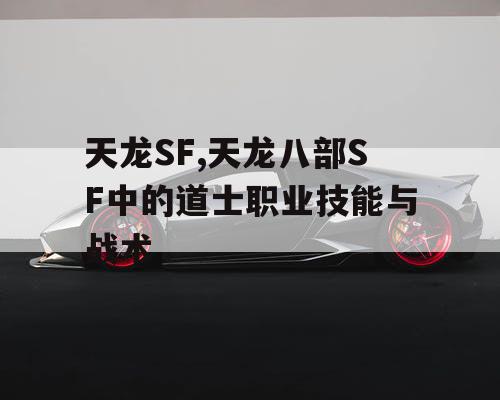 天龙SF,天龙八部SF中的道士职业技能与战术