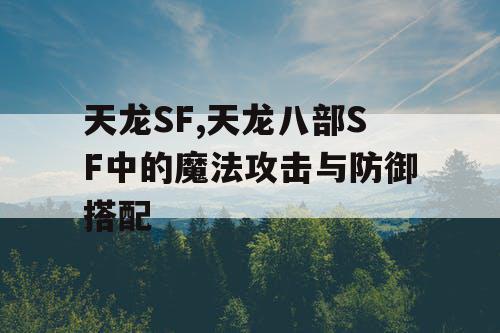 天龙SF,天龙八部SF中的魔法攻击与防御搭配