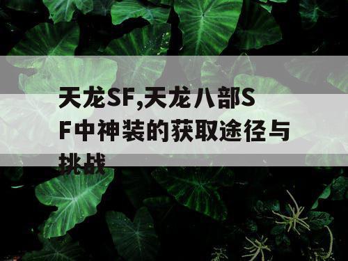 天龙SF,天龙八部SF中神装的获取途径与挑战