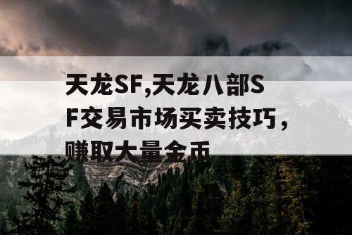 天龙SF,天龙八部SF交易市场买卖技巧，赚取大量金币
