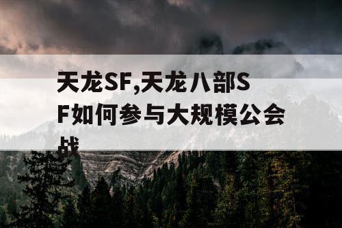 天龙SF,天龙八部SF如何参与大规模公会战