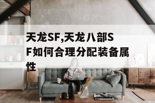 天龙SF,天龙八部SF如何合理分配装备属性