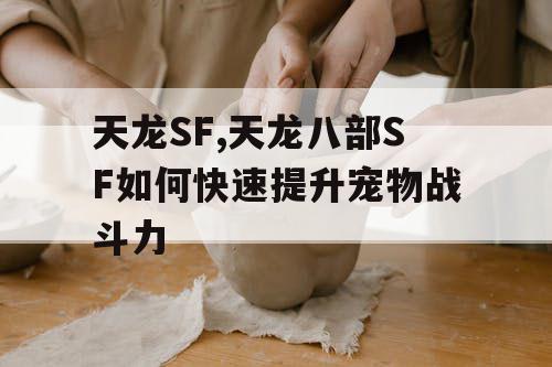天龙SF,天龙八部SF如何快速提升宠物战斗力