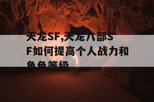 天龙SF,天龙八部SF如何提高个人战力和角色等级