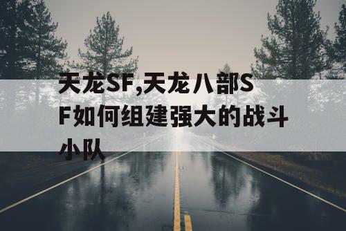 天龙SF,天龙八部SF如何组建强大的战斗小队