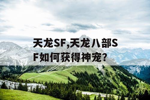 天龙SF,天龙八部SF如何获得神宠？