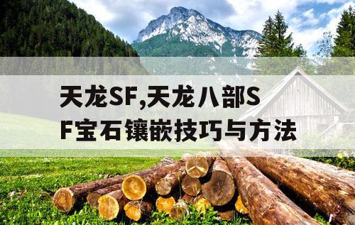 天龙SF,天龙八部SF宝石镶嵌技巧与方法