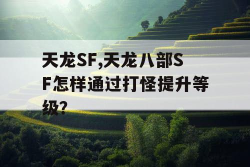 天龙SF,天龙八部SF怎样通过打怪提升等级？