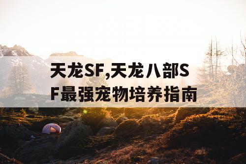 天龙SF,天龙八部SF最强宠物培养指南