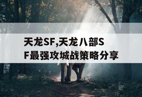 天龙SF,天龙八部SF最强攻城战策略分享