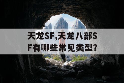 天龙SF,天龙八部SF有哪些常见类型？