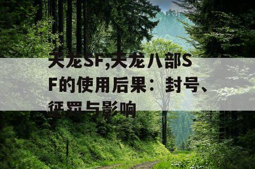 天龙SF,天龙八部SF的使用后果：封号、惩罚与影响