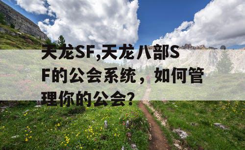 天龙SF,天龙八部SF的公会系统，如何管理你的公会？