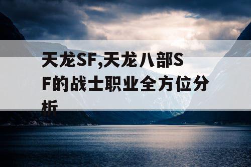 天龙SF,天龙八部SF的战士职业全方位分析