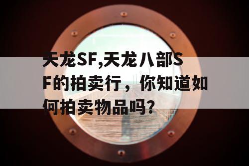 天龙SF,天龙八部SF的拍卖行，你知道如何拍卖物品吗？