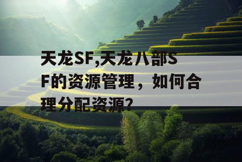 天龙SF,天龙八部SF的资源管理，如何合理分配资源？