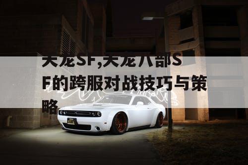 天龙SF,天龙八部SF的跨服对战技巧与策略